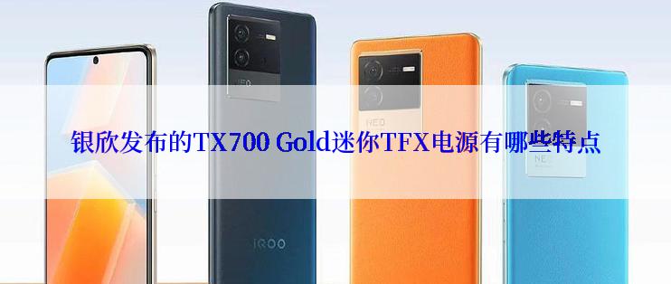 银欣发布的TX700 Gold迷你TFX电源有哪些特点