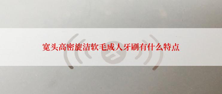 宽头高密旋洁软毛成人牙刷有什么特点