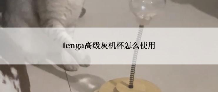 tenga高级灰机杯怎么使用