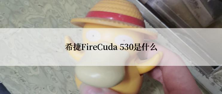 希捷FireCuda 530是什么