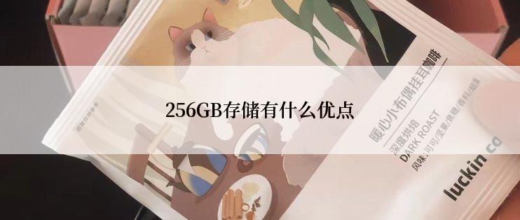 256GB存储有什么优点