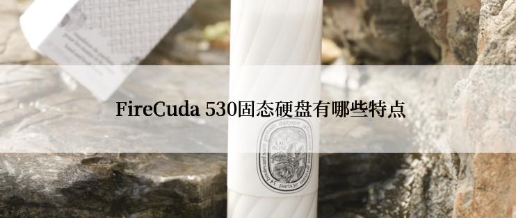  FireCuda 530固态硬盘有哪些特点