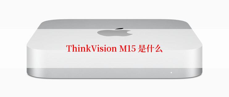 ThinkVision M15 是什么