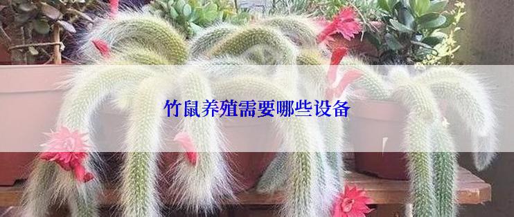 竹鼠养殖需要哪些设备