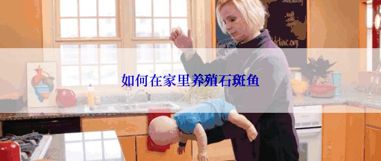 如何在家里养殖石斑鱼