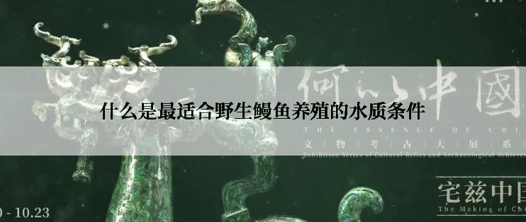 什么是最适合野生鳗鱼养殖的水质条件