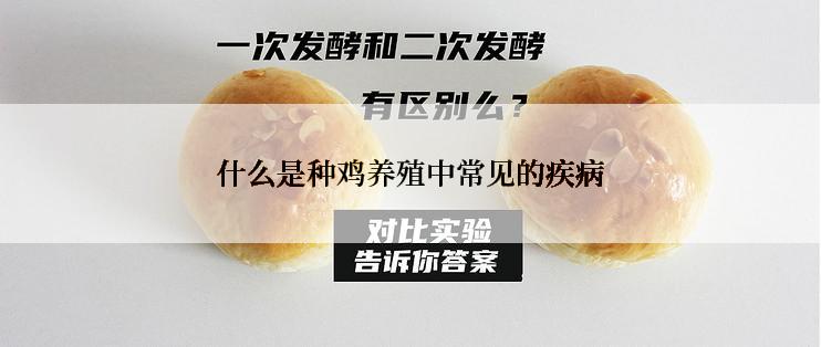 什么是种鸡养殖中常见的疾病