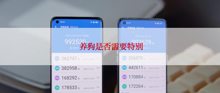  养狗是否需要特别