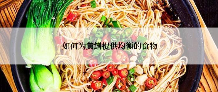  如何为黄鳝提供均衡的食物