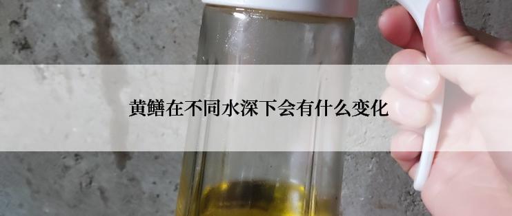  黄鳝在不同水深下会有什么变化