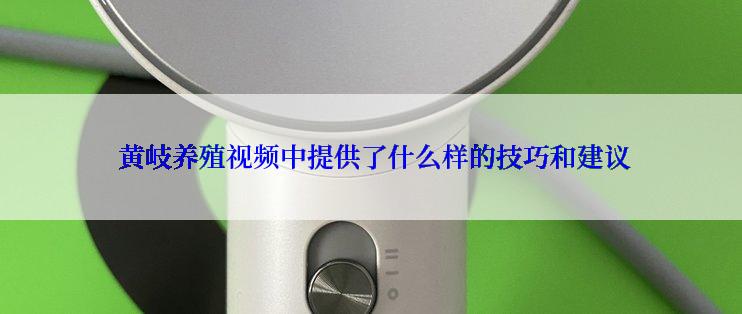  黄岐养殖视频中提供了什么样的技巧和建议