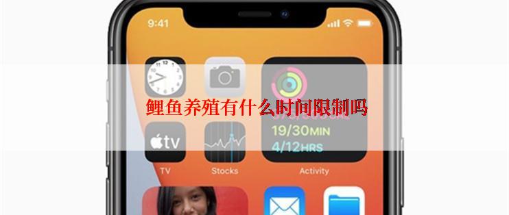  鲤鱼养殖有什么时间限制吗