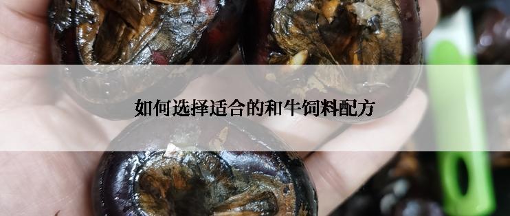 如何选择适合的和牛饲料配方