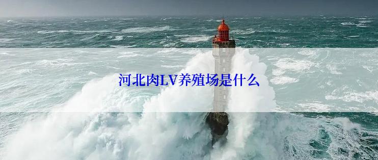 河北肉LV养殖场是什么