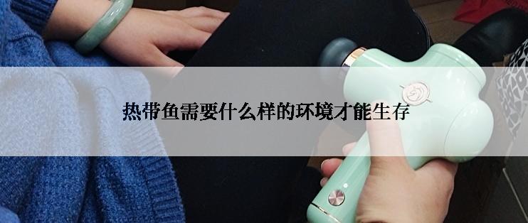  热带鱼需要什么样的环境才能生存