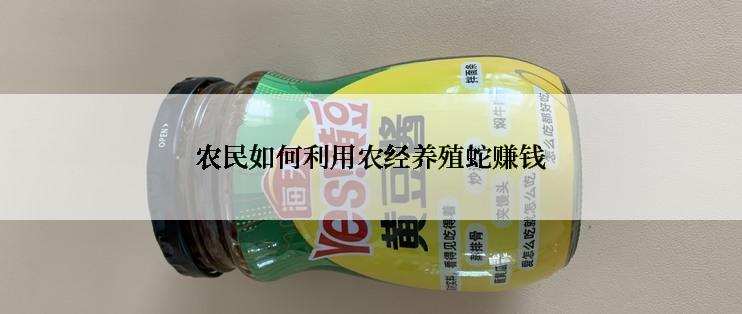 农民如何利用农经养殖蛇赚钱