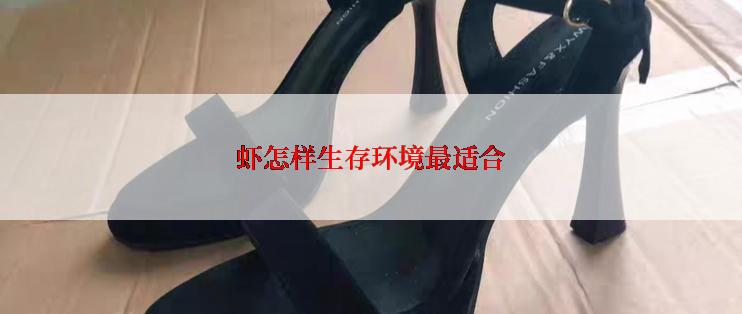 虾怎样生存环境最适合