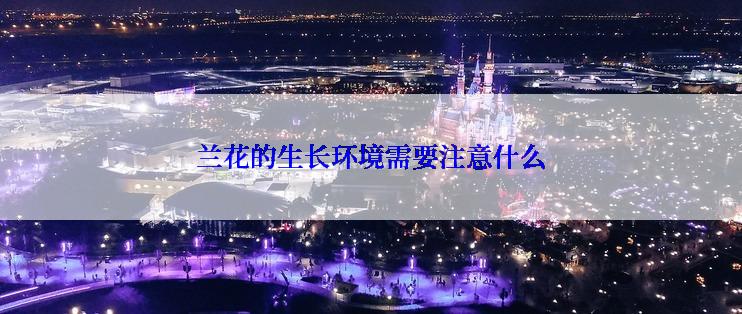 兰花的生长环境需要注意什么