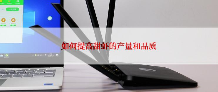 如何提高甜虾的产量和品质