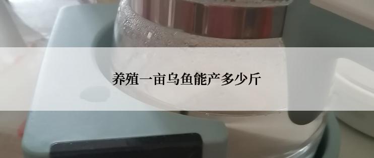 养殖一亩乌鱼能产多少斤