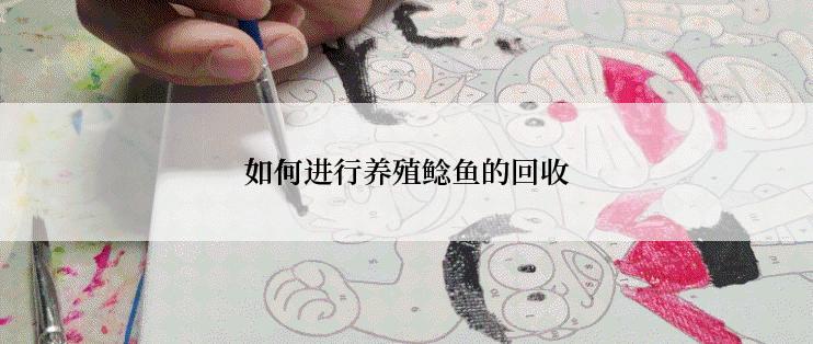 如何进行养殖鲶鱼的回收