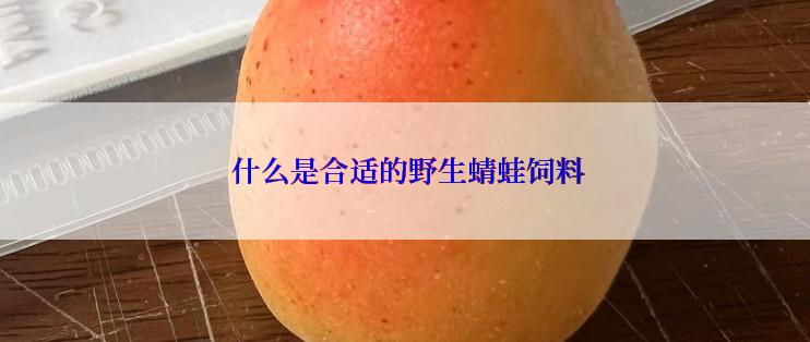  什么是合适的野生蜻蛙饲料