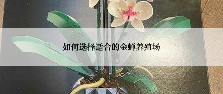 如何选择适合的金蝉养殖场