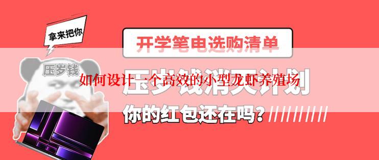 如何设计一个高效的小型龙虾养殖场