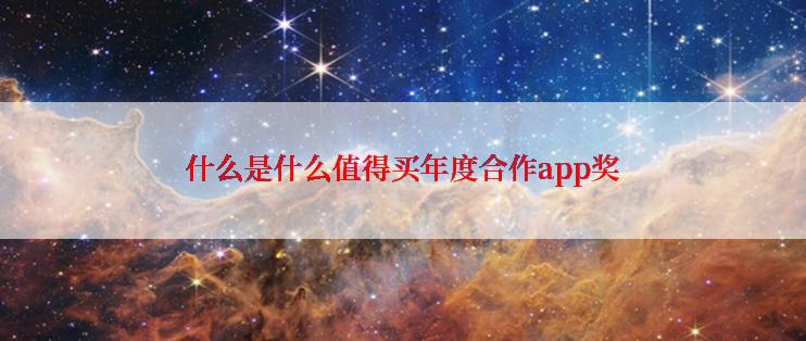 什么是什么值得买年度合作app奖