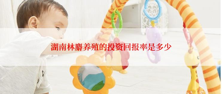 湖南林麝养殖的投资回报率是多少