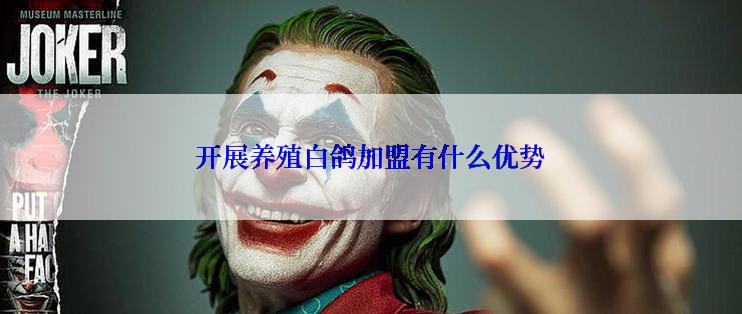 开展养殖白鸽加盟有什么优势