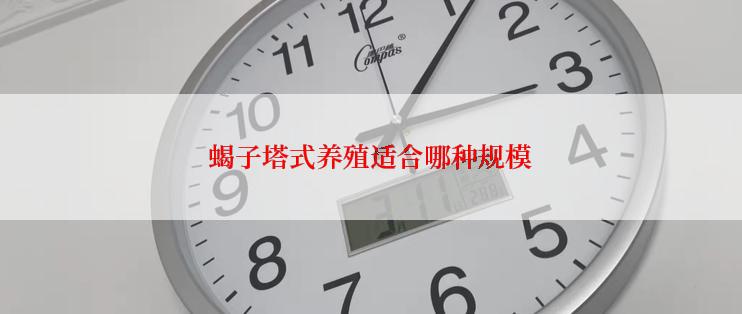 蝎子塔式养殖适合哪种规模