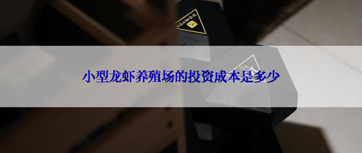 小型龙虾养殖场的投资成本是多少