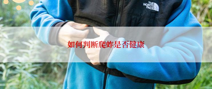 如何判断爬蚱是否健康