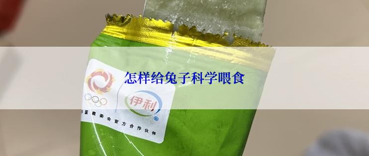 怎样给兔子科学喂食