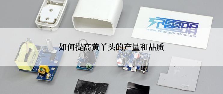 如何提高黄丫头的产量和品质