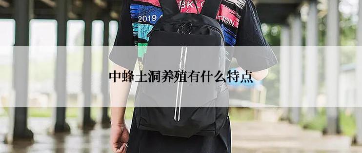 中蜂土洞养殖有什么特点