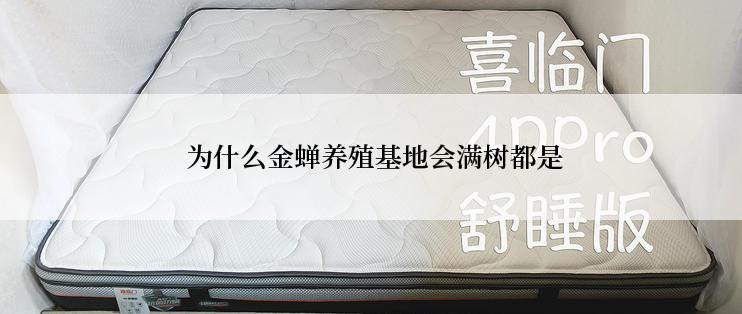  为什么金蝉养殖基地会满树都是