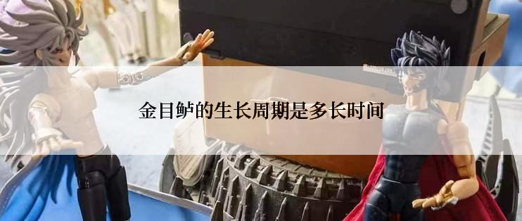 金目鲈的生长周期是多长时间