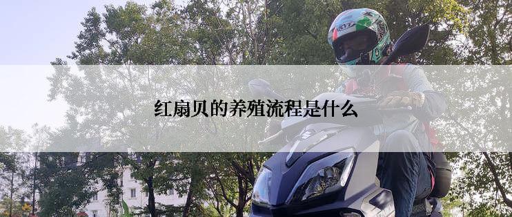 红扇贝的养殖流程是什么