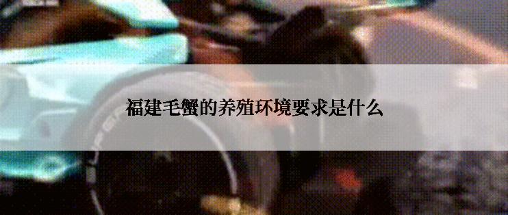 福建毛蟹的养殖环境要求是什么