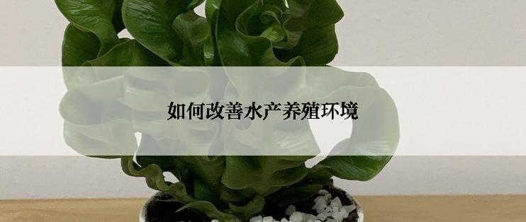 如何改善水产养殖环境