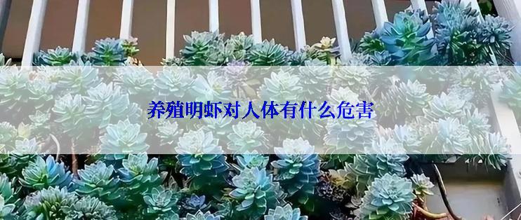 养殖明虾对人体有什么危害