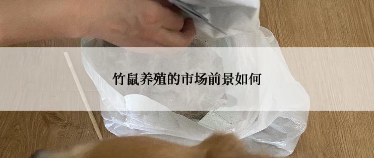 竹鼠养殖的市场前景如何