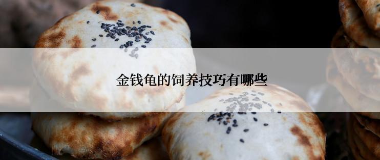  金钱龟的饲养技巧有哪些