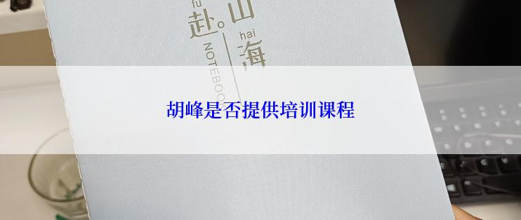 胡峰是否提供培训课程