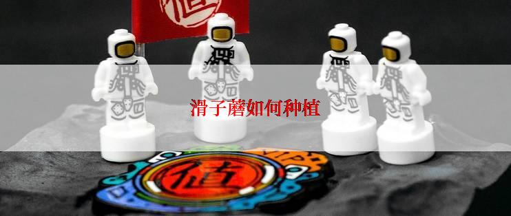 滑子蘑如何种植