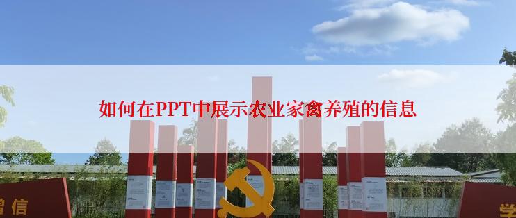 如何在PPT中展示农业家禽养殖的信息