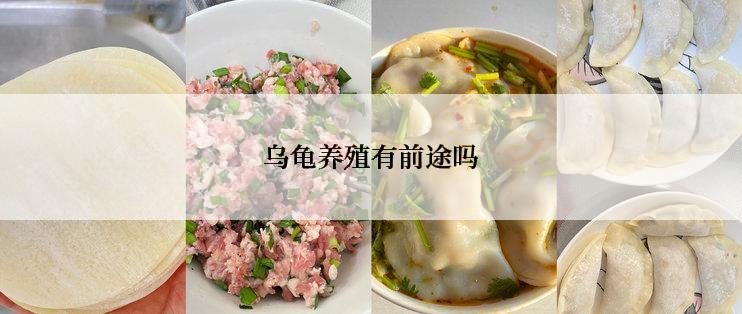 乌龟养殖有前途吗