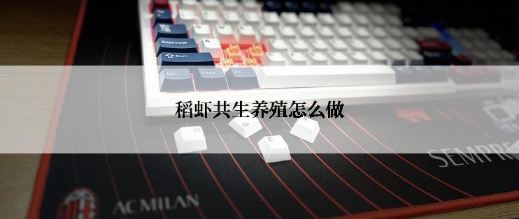 稻虾共生养殖怎么做